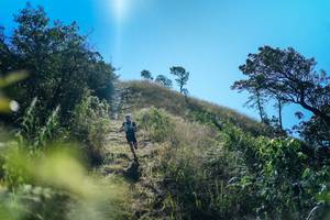 BIB: 
                            <button type="button" onclick="openModal(26621273)" class="btn btn-primary btn-sm float-right btn-popup" data-toggle="modal" data-target=".modal-high-quality">
                        <i class="fas fa-shopping-cart"></i> Add to Cart
                    </button>
                                            <button type="button" onclick="isThisMe(26621273, true)" class="btn btn-success btn-sm float-right btn-popup btn-isme hidden" data-toggle="tooltip" data-placement="bottom" title="นี่คือรูปของคุณใช่ไหม คลิกที่นี่เพื่อเอาเข้าอัลบั้ม">
                        <i class="fas fa-plus"></i> Add to album
                    </button>
                    <button type="button" onclick="isThisMe(26621273, false)" class="btn btn-warning btn-sm float-right btn-popup btn-isnotme hidden">
                        <i class="fas fa-ban"></i> Remove from album
                    </button>