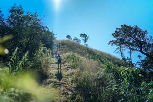 BIB: 
                            <button type="button" onclick="openModal(26621280)" class="btn btn-primary btn-sm float-right btn-popup" data-toggle="modal" data-target=".modal-high-quality">
                        <i class="fas fa-shopping-cart"></i> Add to Cart
                    </button>
                                            <button type="button" onclick="isThisMe(26621280, true)" class="btn btn-success btn-sm float-right btn-popup btn-isme hidden" data-toggle="tooltip" data-placement="bottom" title="นี่คือรูปของคุณใช่ไหม คลิกที่นี่เพื่อเอาเข้าอัลบั้ม">
                        <i class="fas fa-plus"></i> Add to album
                    </button>
                    <button type="button" onclick="isThisMe(26621280, false)" class="btn btn-warning btn-sm float-right btn-popup btn-isnotme hidden">
                        <i class="fas fa-ban"></i> Remove from album
                    </button>