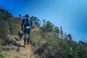 BIB: 
                            <button type="button" onclick="openModal(26616788)" class="btn btn-primary btn-sm float-right btn-popup" data-toggle="modal" data-target=".modal-high-quality">
                        <i class="fas fa-shopping-cart"></i> Add to Cart
                    </button>
                                            <button type="button" onclick="isThisMe(26616788, true)" class="btn btn-success btn-sm float-right btn-popup btn-isme hidden" data-toggle="tooltip" data-placement="bottom" title="นี่คือรูปของคุณใช่ไหม คลิกที่นี่เพื่อเอาเข้าอัลบั้ม">
                        <i class="fas fa-plus"></i> Add to album
                    </button>
                    <button type="button" onclick="isThisMe(26616788, false)" class="btn btn-warning btn-sm float-right btn-popup btn-isnotme hidden">
                        <i class="fas fa-ban"></i> Remove from album
                    </button>