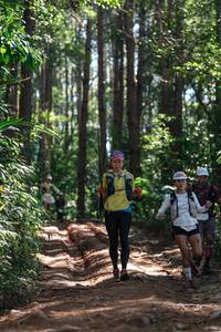 BIB: 
                            <button type="button" onclick="openModal(26737333)" class="btn btn-primary btn-sm float-right btn-popup" data-toggle="modal" data-target=".modal-high-quality">
                        <i class="fas fa-shopping-cart"></i> Add to Cart
                    </button>
                                            <button type="button" onclick="isThisMe(26737333, true)" class="btn btn-success btn-sm float-right btn-popup btn-isme hidden" data-toggle="tooltip" data-placement="bottom" title="นี่คือรูปของคุณใช่ไหม คลิกที่นี่เพื่อเอาเข้าอัลบั้ม">
                        <i class="fas fa-plus"></i> Add to album
                    </button>
                    <button type="button" onclick="isThisMe(26737333, false)" class="btn btn-warning btn-sm float-right btn-popup btn-isnotme hidden">
                        <i class="fas fa-ban"></i> Remove from album
                    </button>