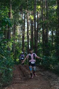 BIB: 
                            <button type="button" onclick="openModal(26741004)" class="btn btn-primary btn-sm float-right btn-popup" data-toggle="modal" data-target=".modal-high-quality">
                        <i class="fas fa-shopping-cart"></i> Add to Cart
                    </button>
                                            <button type="button" onclick="isThisMe(26741004, true)" class="btn btn-success btn-sm float-right btn-popup btn-isme hidden" data-toggle="tooltip" data-placement="bottom" title="นี่คือรูปของคุณใช่ไหม คลิกที่นี่เพื่อเอาเข้าอัลบั้ม">
                        <i class="fas fa-plus"></i> Add to album
                    </button>
                    <button type="button" onclick="isThisMe(26741004, false)" class="btn btn-warning btn-sm float-right btn-popup btn-isnotme hidden">
                        <i class="fas fa-ban"></i> Remove from album
                    </button>