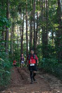 BIB: 
                            <button type="button" onclick="openModal(26741523)" class="btn btn-primary btn-sm float-right btn-popup" data-toggle="modal" data-target=".modal-high-quality">
                        <i class="fas fa-shopping-cart"></i> Add to Cart
                    </button>
                                            <button type="button" onclick="isThisMe(26741523, true)" class="btn btn-success btn-sm float-right btn-popup btn-isme hidden" data-toggle="tooltip" data-placement="bottom" title="นี่คือรูปของคุณใช่ไหม คลิกที่นี่เพื่อเอาเข้าอัลบั้ม">
                        <i class="fas fa-plus"></i> Add to album
                    </button>
                    <button type="button" onclick="isThisMe(26741523, false)" class="btn btn-warning btn-sm float-right btn-popup btn-isnotme hidden">
                        <i class="fas fa-ban"></i> Remove from album
                    </button>