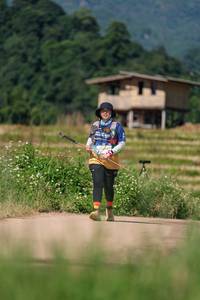 BIB: 
                            <button type="button" onclick="openModal(26735846)" class="btn btn-primary btn-sm float-right btn-popup" data-toggle="modal" data-target=".modal-high-quality">
                        <i class="fas fa-shopping-cart"></i> Add to Cart
                    </button>
                                            <button type="button" onclick="isThisMe(26735846, true)" class="btn btn-success btn-sm float-right btn-popup btn-isme hidden" data-toggle="tooltip" data-placement="bottom" title="นี่คือรูปของคุณใช่ไหม คลิกที่นี่เพื่อเอาเข้าอัลบั้ม">
                        <i class="fas fa-plus"></i> Add to album
                    </button>
                    <button type="button" onclick="isThisMe(26735846, false)" class="btn btn-warning btn-sm float-right btn-popup btn-isnotme hidden">
                        <i class="fas fa-ban"></i> Remove from album
                    </button>