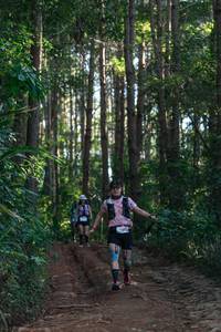 BIB: 
                            <button type="button" onclick="openModal(26741003)" class="btn btn-primary btn-sm float-right btn-popup" data-toggle="modal" data-target=".modal-high-quality">
                        <i class="fas fa-shopping-cart"></i> Add to Cart
                    </button>
                                            <button type="button" onclick="isThisMe(26741003, true)" class="btn btn-success btn-sm float-right btn-popup btn-isme hidden" data-toggle="tooltip" data-placement="bottom" title="นี่คือรูปของคุณใช่ไหม คลิกที่นี่เพื่อเอาเข้าอัลบั้ม">
                        <i class="fas fa-plus"></i> Add to album
                    </button>
                    <button type="button" onclick="isThisMe(26741003, false)" class="btn btn-warning btn-sm float-right btn-popup btn-isnotme hidden">
                        <i class="fas fa-ban"></i> Remove from album
                    </button>