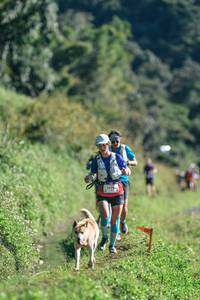 BIB: 
                            <button type="button" onclick="openModal(26623326)" class="btn btn-primary btn-sm float-right btn-popup" data-toggle="modal" data-target=".modal-high-quality">
                        <i class="fas fa-shopping-cart"></i> Add to Cart
                    </button>
                                            <button type="button" onclick="isThisMe(26623326, true)" class="btn btn-success btn-sm float-right btn-popup btn-isme hidden" data-toggle="tooltip" data-placement="bottom" title="นี่คือรูปของคุณใช่ไหม คลิกที่นี่เพื่อเอาเข้าอัลบั้ม">
                        <i class="fas fa-plus"></i> Add to album
                    </button>
                    <button type="button" onclick="isThisMe(26623326, false)" class="btn btn-warning btn-sm float-right btn-popup btn-isnotme hidden">
                        <i class="fas fa-ban"></i> Remove from album
                    </button>