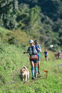 BIB: 
                            <button type="button" onclick="openModal(26623327)" class="btn btn-primary btn-sm float-right btn-popup" data-toggle="modal" data-target=".modal-high-quality">
                        <i class="fas fa-shopping-cart"></i> Add to Cart
                    </button>
                                            <button type="button" onclick="isThisMe(26623327, true)" class="btn btn-success btn-sm float-right btn-popup btn-isme hidden" data-toggle="tooltip" data-placement="bottom" title="นี่คือรูปของคุณใช่ไหม คลิกที่นี่เพื่อเอาเข้าอัลบั้ม">
                        <i class="fas fa-plus"></i> Add to album
                    </button>
                    <button type="button" onclick="isThisMe(26623327, false)" class="btn btn-warning btn-sm float-right btn-popup btn-isnotme hidden">
                        <i class="fas fa-ban"></i> Remove from album
                    </button>