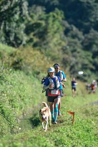 BIB: 
                            <button type="button" onclick="openModal(26623325)" class="btn btn-primary btn-sm float-right btn-popup" data-toggle="modal" data-target=".modal-high-quality">
                        <i class="fas fa-shopping-cart"></i> Add to Cart
                    </button>
                                            <button type="button" onclick="isThisMe(26623325, true)" class="btn btn-success btn-sm float-right btn-popup btn-isme hidden" data-toggle="tooltip" data-placement="bottom" title="นี่คือรูปของคุณใช่ไหม คลิกที่นี่เพื่อเอาเข้าอัลบั้ม">
                        <i class="fas fa-plus"></i> Add to album
                    </button>
                    <button type="button" onclick="isThisMe(26623325, false)" class="btn btn-warning btn-sm float-right btn-popup btn-isnotme hidden">
                        <i class="fas fa-ban"></i> Remove from album
                    </button>