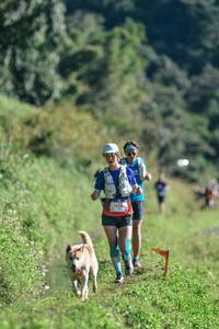 BIB: 
                            <button type="button" onclick="openModal(26623329)" class="btn btn-primary btn-sm float-right btn-popup" data-toggle="modal" data-target=".modal-high-quality">
                        <i class="fas fa-shopping-cart"></i> Add to Cart
                    </button>
                                            <button type="button" onclick="isThisMe(26623329, true)" class="btn btn-success btn-sm float-right btn-popup btn-isme hidden" data-toggle="tooltip" data-placement="bottom" title="นี่คือรูปของคุณใช่ไหม คลิกที่นี่เพื่อเอาเข้าอัลบั้ม">
                        <i class="fas fa-plus"></i> Add to album
                    </button>
                    <button type="button" onclick="isThisMe(26623329, false)" class="btn btn-warning btn-sm float-right btn-popup btn-isnotme hidden">
                        <i class="fas fa-ban"></i> Remove from album
                    </button>