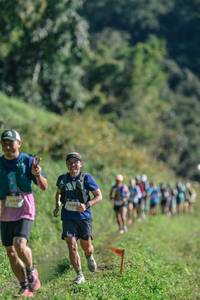 BIB: 
                            <button type="button" onclick="openModal(26650295)" class="btn btn-primary btn-sm float-right btn-popup" data-toggle="modal" data-target=".modal-high-quality">
                        <i class="fas fa-shopping-cart"></i> Add to Cart
                    </button>
                                            <button type="button" onclick="isThisMe(26650295, true)" class="btn btn-success btn-sm float-right btn-popup btn-isme hidden" data-toggle="tooltip" data-placement="bottom" title="นี่คือรูปของคุณใช่ไหม คลิกที่นี่เพื่อเอาเข้าอัลบั้ม">
                        <i class="fas fa-plus"></i> Add to album
                    </button>
                    <button type="button" onclick="isThisMe(26650295, false)" class="btn btn-warning btn-sm float-right btn-popup btn-isnotme hidden">
                        <i class="fas fa-ban"></i> Remove from album
                    </button>