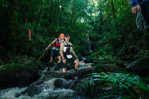 BIB: 
                            <button type="button" onclick="openModal(26774464)" class="btn btn-primary btn-sm float-right btn-popup" data-toggle="modal" data-target=".modal-high-quality">
                        <i class="fas fa-shopping-cart"></i> Add to Cart
                    </button>
                                            <button type="button" onclick="isThisMe(26774464, true)" class="btn btn-success btn-sm float-right btn-popup btn-isme hidden" data-toggle="tooltip" data-placement="bottom" title="นี่คือรูปของคุณใช่ไหม คลิกที่นี่เพื่อเอาเข้าอัลบั้ม">
                        <i class="fas fa-plus"></i> Add to album
                    </button>
                    <button type="button" onclick="isThisMe(26774464, false)" class="btn btn-warning btn-sm float-right btn-popup btn-isnotme hidden">
                        <i class="fas fa-ban"></i> Remove from album
                    </button>