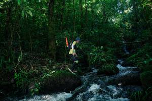 BIB: 
                            <button type="button" onclick="openModal(26699683)" class="btn btn-primary btn-sm float-right btn-popup" data-toggle="modal" data-target=".modal-high-quality">
                        <i class="fas fa-shopping-cart"></i> Add to Cart
                    </button>
                                            <button type="button" onclick="isThisMe(26699683, true)" class="btn btn-success btn-sm float-right btn-popup btn-isme hidden" data-toggle="tooltip" data-placement="bottom" title="นี่คือรูปของคุณใช่ไหม คลิกที่นี่เพื่อเอาเข้าอัลบั้ม">
                        <i class="fas fa-plus"></i> Add to album
                    </button>
                    <button type="button" onclick="isThisMe(26699683, false)" class="btn btn-warning btn-sm float-right btn-popup btn-isnotme hidden">
                        <i class="fas fa-ban"></i> Remove from album
                    </button>