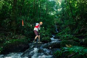 BIB: 
                            <button type="button" onclick="openModal(26727965)" class="btn btn-primary btn-sm float-right btn-popup" data-toggle="modal" data-target=".modal-high-quality">
                        <i class="fas fa-shopping-cart"></i> Add to Cart
                    </button>
                                            <button type="button" onclick="isThisMe(26727965, true)" class="btn btn-success btn-sm float-right btn-popup btn-isme hidden" data-toggle="tooltip" data-placement="bottom" title="นี่คือรูปของคุณใช่ไหม คลิกที่นี่เพื่อเอาเข้าอัลบั้ม">
                        <i class="fas fa-plus"></i> Add to album
                    </button>
                    <button type="button" onclick="isThisMe(26727965, false)" class="btn btn-warning btn-sm float-right btn-popup btn-isnotme hidden">
                        <i class="fas fa-ban"></i> Remove from album
                    </button>