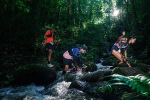 BIB: 
                            <button type="button" onclick="openModal(26777687)" class="btn btn-primary btn-sm float-right btn-popup" data-toggle="modal" data-target=".modal-high-quality">
                        <i class="fas fa-shopping-cart"></i> Add to Cart
                    </button>
                                            <button type="button" onclick="isThisMe(26777687, true)" class="btn btn-success btn-sm float-right btn-popup btn-isme hidden" data-toggle="tooltip" data-placement="bottom" title="นี่คือรูปของคุณใช่ไหม คลิกที่นี่เพื่อเอาเข้าอัลบั้ม">
                        <i class="fas fa-plus"></i> Add to album
                    </button>
                    <button type="button" onclick="isThisMe(26777687, false)" class="btn btn-warning btn-sm float-right btn-popup btn-isnotme hidden">
                        <i class="fas fa-ban"></i> Remove from album
                    </button>