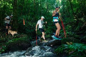 BIB: 
                            <button type="button" onclick="openModal(26756136)" class="btn btn-primary btn-sm float-right btn-popup" data-toggle="modal" data-target=".modal-high-quality">
                        <i class="fas fa-shopping-cart"></i> Add to Cart
                    </button>
                                            <button type="button" onclick="isThisMe(26756136, true)" class="btn btn-success btn-sm float-right btn-popup btn-isme hidden" data-toggle="tooltip" data-placement="bottom" title="นี่คือรูปของคุณใช่ไหม คลิกที่นี่เพื่อเอาเข้าอัลบั้ม">
                        <i class="fas fa-plus"></i> Add to album
                    </button>
                    <button type="button" onclick="isThisMe(26756136, false)" class="btn btn-warning btn-sm float-right btn-popup btn-isnotme hidden">
                        <i class="fas fa-ban"></i> Remove from album
                    </button>