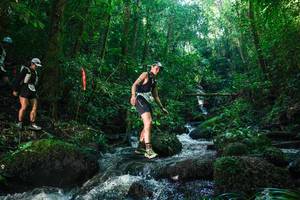 BIB: 
                            <button type="button" onclick="openModal(26780061)" class="btn btn-primary btn-sm float-right btn-popup" data-toggle="modal" data-target=".modal-high-quality">
                        <i class="fas fa-shopping-cart"></i> Add to Cart
                    </button>
                                            <button type="button" onclick="isThisMe(26780061, true)" class="btn btn-success btn-sm float-right btn-popup btn-isme hidden" data-toggle="tooltip" data-placement="bottom" title="นี่คือรูปของคุณใช่ไหม คลิกที่นี่เพื่อเอาเข้าอัลบั้ม">
                        <i class="fas fa-plus"></i> Add to album
                    </button>
                    <button type="button" onclick="isThisMe(26780061, false)" class="btn btn-warning btn-sm float-right btn-popup btn-isnotme hidden">
                        <i class="fas fa-ban"></i> Remove from album
                    </button>