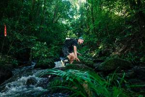 BIB: 
                            <button type="button" onclick="openModal(26772829)" class="btn btn-primary btn-sm float-right btn-popup" data-toggle="modal" data-target=".modal-high-quality">
                        <i class="fas fa-shopping-cart"></i> Add to Cart
                    </button>
                                            <button type="button" onclick="isThisMe(26772829, true)" class="btn btn-success btn-sm float-right btn-popup btn-isme hidden" data-toggle="tooltip" data-placement="bottom" title="นี่คือรูปของคุณใช่ไหม คลิกที่นี่เพื่อเอาเข้าอัลบั้ม">
                        <i class="fas fa-plus"></i> Add to album
                    </button>
                    <button type="button" onclick="isThisMe(26772829, false)" class="btn btn-warning btn-sm float-right btn-popup btn-isnotme hidden">
                        <i class="fas fa-ban"></i> Remove from album
                    </button>