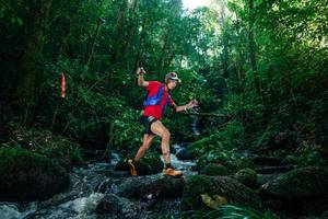 BIB: 
                            <button type="button" onclick="openModal(26774498)" class="btn btn-primary btn-sm float-right btn-popup" data-toggle="modal" data-target=".modal-high-quality">
                        <i class="fas fa-shopping-cart"></i> Add to Cart
                    </button>
                                            <button type="button" onclick="isThisMe(26774498, true)" class="btn btn-success btn-sm float-right btn-popup btn-isme hidden" data-toggle="tooltip" data-placement="bottom" title="นี่คือรูปของคุณใช่ไหม คลิกที่นี่เพื่อเอาเข้าอัลบั้ม">
                        <i class="fas fa-plus"></i> Add to album
                    </button>
                    <button type="button" onclick="isThisMe(26774498, false)" class="btn btn-warning btn-sm float-right btn-popup btn-isnotme hidden">
                        <i class="fas fa-ban"></i> Remove from album
                    </button>