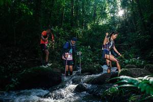 BIB: 
                            <button type="button" onclick="openModal(26777673)" class="btn btn-primary btn-sm float-right btn-popup" data-toggle="modal" data-target=".modal-high-quality">
                        <i class="fas fa-shopping-cart"></i> Add to Cart
                    </button>
                                            <button type="button" onclick="isThisMe(26777673, true)" class="btn btn-success btn-sm float-right btn-popup btn-isme hidden" data-toggle="tooltip" data-placement="bottom" title="นี่คือรูปของคุณใช่ไหม คลิกที่นี่เพื่อเอาเข้าอัลบั้ม">
                        <i class="fas fa-plus"></i> Add to album
                    </button>
                    <button type="button" onclick="isThisMe(26777673, false)" class="btn btn-warning btn-sm float-right btn-popup btn-isnotme hidden">
                        <i class="fas fa-ban"></i> Remove from album
                    </button>