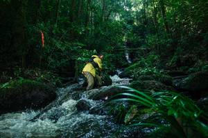 BIB: 
                            <button type="button" onclick="openModal(26780619)" class="btn btn-primary btn-sm float-right btn-popup" data-toggle="modal" data-target=".modal-high-quality">
                        <i class="fas fa-shopping-cart"></i> Add to Cart
                    </button>
                                            <button type="button" onclick="isThisMe(26780619, true)" class="btn btn-success btn-sm float-right btn-popup btn-isme hidden" data-toggle="tooltip" data-placement="bottom" title="นี่คือรูปของคุณใช่ไหม คลิกที่นี่เพื่อเอาเข้าอัลบั้ม">
                        <i class="fas fa-plus"></i> Add to album
                    </button>
                    <button type="button" onclick="isThisMe(26780619, false)" class="btn btn-warning btn-sm float-right btn-popup btn-isnotme hidden">
                        <i class="fas fa-ban"></i> Remove from album
                    </button>