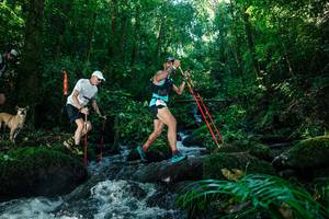 BIB: 
                            <button type="button" onclick="openModal(26756132)" class="btn btn-primary btn-sm float-right btn-popup" data-toggle="modal" data-target=".modal-high-quality">
                        <i class="fas fa-shopping-cart"></i> Add to Cart
                    </button>
                                            <button type="button" onclick="isThisMe(26756132, true)" class="btn btn-success btn-sm float-right btn-popup btn-isme hidden" data-toggle="tooltip" data-placement="bottom" title="นี่คือรูปของคุณใช่ไหม คลิกที่นี่เพื่อเอาเข้าอัลบั้ม">
                        <i class="fas fa-plus"></i> Add to album
                    </button>
                    <button type="button" onclick="isThisMe(26756132, false)" class="btn btn-warning btn-sm float-right btn-popup btn-isnotme hidden">
                        <i class="fas fa-ban"></i> Remove from album
                    </button>