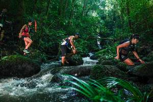 BIB: 
                            <button type="button" onclick="openModal(26780097)" class="btn btn-primary btn-sm float-right btn-popup" data-toggle="modal" data-target=".modal-high-quality">
                        <i class="fas fa-shopping-cart"></i> Add to Cart
                    </button>
                                            <button type="button" onclick="isThisMe(26780097, true)" class="btn btn-success btn-sm float-right btn-popup btn-isme hidden" data-toggle="tooltip" data-placement="bottom" title="นี่คือรูปของคุณใช่ไหม คลิกที่นี่เพื่อเอาเข้าอัลบั้ม">
                        <i class="fas fa-plus"></i> Add to album
                    </button>
                    <button type="button" onclick="isThisMe(26780097, false)" class="btn btn-warning btn-sm float-right btn-popup btn-isnotme hidden">
                        <i class="fas fa-ban"></i> Remove from album
                    </button>