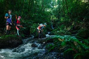 BIB: 
                            <button type="button" onclick="openModal(26772772)" class="btn btn-primary btn-sm float-right btn-popup" data-toggle="modal" data-target=".modal-high-quality">
                        <i class="fas fa-shopping-cart"></i> Add to Cart
                    </button>
                                            <button type="button" onclick="isThisMe(26772772, true)" class="btn btn-success btn-sm float-right btn-popup btn-isme hidden" data-toggle="tooltip" data-placement="bottom" title="นี่คือรูปของคุณใช่ไหม คลิกที่นี่เพื่อเอาเข้าอัลบั้ม">
                        <i class="fas fa-plus"></i> Add to album
                    </button>
                    <button type="button" onclick="isThisMe(26772772, false)" class="btn btn-warning btn-sm float-right btn-popup btn-isnotme hidden">
                        <i class="fas fa-ban"></i> Remove from album
                    </button>