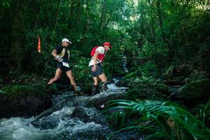 BIB: 
                            <button type="button" onclick="openModal(26773213)" class="btn btn-primary btn-sm float-right btn-popup" data-toggle="modal" data-target=".modal-high-quality">
                        <i class="fas fa-shopping-cart"></i> Add to Cart
                    </button>
                                            <button type="button" onclick="isThisMe(26773213, true)" class="btn btn-success btn-sm float-right btn-popup btn-isme hidden" data-toggle="tooltip" data-placement="bottom" title="นี่คือรูปของคุณใช่ไหม คลิกที่นี่เพื่อเอาเข้าอัลบั้ม">
                        <i class="fas fa-plus"></i> Add to album
                    </button>
                    <button type="button" onclick="isThisMe(26773213, false)" class="btn btn-warning btn-sm float-right btn-popup btn-isnotme hidden">
                        <i class="fas fa-ban"></i> Remove from album
                    </button>