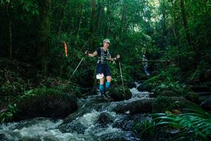 BIB: 
                            <button type="button" onclick="openModal(26774762)" class="btn btn-primary btn-sm float-right btn-popup" data-toggle="modal" data-target=".modal-high-quality">
                        <i class="fas fa-shopping-cart"></i> Add to Cart
                    </button>
                                            <button type="button" onclick="isThisMe(26774762, true)" class="btn btn-success btn-sm float-right btn-popup btn-isme hidden" data-toggle="tooltip" data-placement="bottom" title="นี่คือรูปของคุณใช่ไหม คลิกที่นี่เพื่อเอาเข้าอัลบั้ม">
                        <i class="fas fa-plus"></i> Add to album
                    </button>
                    <button type="button" onclick="isThisMe(26774762, false)" class="btn btn-warning btn-sm float-right btn-popup btn-isnotme hidden">
                        <i class="fas fa-ban"></i> Remove from album
                    </button>