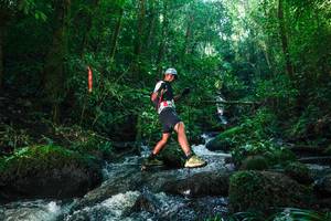 BIB: 
                            <button type="button" onclick="openModal(26780074)" class="btn btn-primary btn-sm float-right btn-popup" data-toggle="modal" data-target=".modal-high-quality">
                        <i class="fas fa-shopping-cart"></i> Add to Cart
                    </button>
                                            <button type="button" onclick="isThisMe(26780074, true)" class="btn btn-success btn-sm float-right btn-popup btn-isme hidden" data-toggle="tooltip" data-placement="bottom" title="นี่คือรูปของคุณใช่ไหม คลิกที่นี่เพื่อเอาเข้าอัลบั้ม">
                        <i class="fas fa-plus"></i> Add to album
                    </button>
                    <button type="button" onclick="isThisMe(26780074, false)" class="btn btn-warning btn-sm float-right btn-popup btn-isnotme hidden">
                        <i class="fas fa-ban"></i> Remove from album
                    </button>