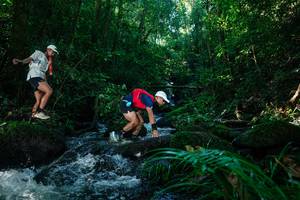 BIB: 
                            <button type="button" onclick="openModal(26701456)" class="btn btn-primary btn-sm float-right btn-popup" data-toggle="modal" data-target=".modal-high-quality">
                        <i class="fas fa-shopping-cart"></i> Add to Cart
                    </button>
                                            <button type="button" onclick="isThisMe(26701456, true)" class="btn btn-success btn-sm float-right btn-popup btn-isme hidden" data-toggle="tooltip" data-placement="bottom" title="นี่คือรูปของคุณใช่ไหม คลิกที่นี่เพื่อเอาเข้าอัลบั้ม">
                        <i class="fas fa-plus"></i> Add to album
                    </button>
                    <button type="button" onclick="isThisMe(26701456, false)" class="btn btn-warning btn-sm float-right btn-popup btn-isnotme hidden">
                        <i class="fas fa-ban"></i> Remove from album
                    </button>