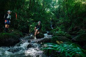 BIB: 
                            <button type="button" onclick="openModal(26773584)" class="btn btn-primary btn-sm float-right btn-popup" data-toggle="modal" data-target=".modal-high-quality">
                        <i class="fas fa-shopping-cart"></i> Add to Cart
                    </button>
                                            <button type="button" onclick="isThisMe(26773584, true)" class="btn btn-success btn-sm float-right btn-popup btn-isme hidden" data-toggle="tooltip" data-placement="bottom" title="นี่คือรูปของคุณใช่ไหม คลิกที่นี่เพื่อเอาเข้าอัลบั้ม">
                        <i class="fas fa-plus"></i> Add to album
                    </button>
                    <button type="button" onclick="isThisMe(26773584, false)" class="btn btn-warning btn-sm float-right btn-popup btn-isnotme hidden">
                        <i class="fas fa-ban"></i> Remove from album
                    </button>