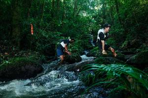 BIB: 
                            <button type="button" onclick="openModal(26773227)" class="btn btn-primary btn-sm float-right btn-popup" data-toggle="modal" data-target=".modal-high-quality">
                        <i class="fas fa-shopping-cart"></i> Add to Cart
                    </button>
                                            <button type="button" onclick="isThisMe(26773227, true)" class="btn btn-success btn-sm float-right btn-popup btn-isme hidden" data-toggle="tooltip" data-placement="bottom" title="นี่คือรูปของคุณใช่ไหม คลิกที่นี่เพื่อเอาเข้าอัลบั้ม">
                        <i class="fas fa-plus"></i> Add to album
                    </button>
                    <button type="button" onclick="isThisMe(26773227, false)" class="btn btn-warning btn-sm float-right btn-popup btn-isnotme hidden">
                        <i class="fas fa-ban"></i> Remove from album
                    </button>