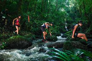 BIB: 
                            <button type="button" onclick="openModal(26780093)" class="btn btn-primary btn-sm float-right btn-popup" data-toggle="modal" data-target=".modal-high-quality">
                        <i class="fas fa-shopping-cart"></i> Add to Cart
                    </button>
                                            <button type="button" onclick="isThisMe(26780093, true)" class="btn btn-success btn-sm float-right btn-popup btn-isme hidden" data-toggle="tooltip" data-placement="bottom" title="นี่คือรูปของคุณใช่ไหม คลิกที่นี่เพื่อเอาเข้าอัลบั้ม">
                        <i class="fas fa-plus"></i> Add to album
                    </button>
                    <button type="button" onclick="isThisMe(26780093, false)" class="btn btn-warning btn-sm float-right btn-popup btn-isnotme hidden">
                        <i class="fas fa-ban"></i> Remove from album
                    </button>