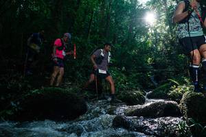 BIB: 
                            <button type="button" onclick="openModal(26775756)" class="btn btn-primary btn-sm float-right btn-popup" data-toggle="modal" data-target=".modal-high-quality">
                        <i class="fas fa-shopping-cart"></i> Add to Cart
                    </button>
                                            <button type="button" onclick="isThisMe(26775756, true)" class="btn btn-success btn-sm float-right btn-popup btn-isme hidden" data-toggle="tooltip" data-placement="bottom" title="นี่คือรูปของคุณใช่ไหม คลิกที่นี่เพื่อเอาเข้าอัลบั้ม">
                        <i class="fas fa-plus"></i> Add to album
                    </button>
                    <button type="button" onclick="isThisMe(26775756, false)" class="btn btn-warning btn-sm float-right btn-popup btn-isnotme hidden">
                        <i class="fas fa-ban"></i> Remove from album
                    </button>