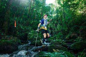 BIB: 
                            <button type="button" onclick="openModal(26773319)" class="btn btn-primary btn-sm float-right btn-popup" data-toggle="modal" data-target=".modal-high-quality">
                        <i class="fas fa-shopping-cart"></i> Add to Cart
                    </button>
                                            <button type="button" onclick="isThisMe(26773319, true)" class="btn btn-success btn-sm float-right btn-popup btn-isme hidden" data-toggle="tooltip" data-placement="bottom" title="นี่คือรูปของคุณใช่ไหม คลิกที่นี่เพื่อเอาเข้าอัลบั้ม">
                        <i class="fas fa-plus"></i> Add to album
                    </button>
                    <button type="button" onclick="isThisMe(26773319, false)" class="btn btn-warning btn-sm float-right btn-popup btn-isnotme hidden">
                        <i class="fas fa-ban"></i> Remove from album
                    </button>