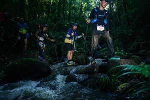 BIB: 
                            <button type="button" onclick="openModal(26778646)" class="btn btn-primary btn-sm float-right btn-popup" data-toggle="modal" data-target=".modal-high-quality">
                        <i class="fas fa-shopping-cart"></i> Add to Cart
                    </button>
                                            <button type="button" onclick="isThisMe(26778646, true)" class="btn btn-success btn-sm float-right btn-popup btn-isme hidden" data-toggle="tooltip" data-placement="bottom" title="นี่คือรูปของคุณใช่ไหม คลิกที่นี่เพื่อเอาเข้าอัลบั้ม">
                        <i class="fas fa-plus"></i> Add to album
                    </button>
                    <button type="button" onclick="isThisMe(26778646, false)" class="btn btn-warning btn-sm float-right btn-popup btn-isnotme hidden">
                        <i class="fas fa-ban"></i> Remove from album
                    </button>