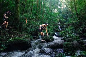 BIB: 
                            <button type="button" onclick="openModal(26780041)" class="btn btn-primary btn-sm float-right btn-popup" data-toggle="modal" data-target=".modal-high-quality">
                        <i class="fas fa-shopping-cart"></i> Add to Cart
                    </button>
                                            <button type="button" onclick="isThisMe(26780041, true)" class="btn btn-success btn-sm float-right btn-popup btn-isme hidden" data-toggle="tooltip" data-placement="bottom" title="นี่คือรูปของคุณใช่ไหม คลิกที่นี่เพื่อเอาเข้าอัลบั้ม">
                        <i class="fas fa-plus"></i> Add to album
                    </button>
                    <button type="button" onclick="isThisMe(26780041, false)" class="btn btn-warning btn-sm float-right btn-popup btn-isnotme hidden">
                        <i class="fas fa-ban"></i> Remove from album
                    </button>