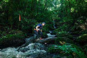 BIB: 
                            <button type="button" onclick="openModal(26772460)" class="btn btn-primary btn-sm float-right btn-popup" data-toggle="modal" data-target=".modal-high-quality">
                        <i class="fas fa-shopping-cart"></i> Add to Cart
                    </button>
                                            <button type="button" onclick="isThisMe(26772460, true)" class="btn btn-success btn-sm float-right btn-popup btn-isme hidden" data-toggle="tooltip" data-placement="bottom" title="นี่คือรูปของคุณใช่ไหม คลิกที่นี่เพื่อเอาเข้าอัลบั้ม">
                        <i class="fas fa-plus"></i> Add to album
                    </button>
                    <button type="button" onclick="isThisMe(26772460, false)" class="btn btn-warning btn-sm float-right btn-popup btn-isnotme hidden">
                        <i class="fas fa-ban"></i> Remove from album
                    </button>