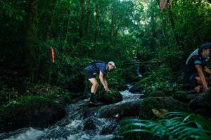 BIB: 
                            <button type="button" onclick="openModal(26774169)" class="btn btn-primary btn-sm float-right btn-popup" data-toggle="modal" data-target=".modal-high-quality">
                        <i class="fas fa-shopping-cart"></i> Add to Cart
                    </button>
                                            <button type="button" onclick="isThisMe(26774169, true)" class="btn btn-success btn-sm float-right btn-popup btn-isme hidden" data-toggle="tooltip" data-placement="bottom" title="นี่คือรูปของคุณใช่ไหม คลิกที่นี่เพื่อเอาเข้าอัลบั้ม">
                        <i class="fas fa-plus"></i> Add to album
                    </button>
                    <button type="button" onclick="isThisMe(26774169, false)" class="btn btn-warning btn-sm float-right btn-popup btn-isnotme hidden">
                        <i class="fas fa-ban"></i> Remove from album
                    </button>