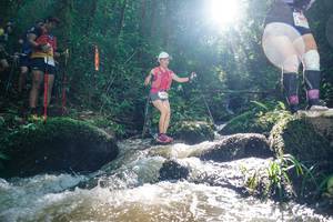 BIB: 
                            <button type="button" onclick="openModal(26775837)" class="btn btn-primary btn-sm float-right btn-popup" data-toggle="modal" data-target=".modal-high-quality">
                        <i class="fas fa-shopping-cart"></i> Add to Cart
                    </button>
                                            <button type="button" onclick="isThisMe(26775837, true)" class="btn btn-success btn-sm float-right btn-popup btn-isme hidden" data-toggle="tooltip" data-placement="bottom" title="นี่คือรูปของคุณใช่ไหม คลิกที่นี่เพื่อเอาเข้าอัลบั้ม">
                        <i class="fas fa-plus"></i> Add to album
                    </button>
                    <button type="button" onclick="isThisMe(26775837, false)" class="btn btn-warning btn-sm float-right btn-popup btn-isnotme hidden">
                        <i class="fas fa-ban"></i> Remove from album
                    </button>