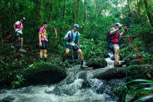 BIB: 
                            <button type="button" onclick="openModal(26780762)" class="btn btn-primary btn-sm float-right btn-popup" data-toggle="modal" data-target=".modal-high-quality">
                        <i class="fas fa-shopping-cart"></i> Add to Cart
                    </button>
                                            <button type="button" onclick="isThisMe(26780762, true)" class="btn btn-success btn-sm float-right btn-popup btn-isme hidden" data-toggle="tooltip" data-placement="bottom" title="นี่คือรูปของคุณใช่ไหม คลิกที่นี่เพื่อเอาเข้าอัลบั้ม">
                        <i class="fas fa-plus"></i> Add to album
                    </button>
                    <button type="button" onclick="isThisMe(26780762, false)" class="btn btn-warning btn-sm float-right btn-popup btn-isnotme hidden">
                        <i class="fas fa-ban"></i> Remove from album
                    </button>