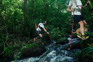 BIB: 
                            <button type="button" onclick="openModal(26756148)" class="btn btn-primary btn-sm float-right btn-popup" data-toggle="modal" data-target=".modal-high-quality">
                        <i class="fas fa-shopping-cart"></i> Add to Cart
                    </button>
                                            <button type="button" onclick="isThisMe(26756148, true)" class="btn btn-success btn-sm float-right btn-popup btn-isme hidden" data-toggle="tooltip" data-placement="bottom" title="นี่คือรูปของคุณใช่ไหม คลิกที่นี่เพื่อเอาเข้าอัลบั้ม">
                        <i class="fas fa-plus"></i> Add to album
                    </button>
                    <button type="button" onclick="isThisMe(26756148, false)" class="btn btn-warning btn-sm float-right btn-popup btn-isnotme hidden">
                        <i class="fas fa-ban"></i> Remove from album
                    </button>