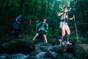 BIB: 
                            <button type="button" onclick="openModal(26779646)" class="btn btn-primary btn-sm float-right btn-popup" data-toggle="modal" data-target=".modal-high-quality">
                        <i class="fas fa-shopping-cart"></i> Add to Cart
                    </button>
                                            <button type="button" onclick="isThisMe(26779646, true)" class="btn btn-success btn-sm float-right btn-popup btn-isme hidden" data-toggle="tooltip" data-placement="bottom" title="นี่คือรูปของคุณใช่ไหม คลิกที่นี่เพื่อเอาเข้าอัลบั้ม">
                        <i class="fas fa-plus"></i> Add to album
                    </button>
                    <button type="button" onclick="isThisMe(26779646, false)" class="btn btn-warning btn-sm float-right btn-popup btn-isnotme hidden">
                        <i class="fas fa-ban"></i> Remove from album
                    </button>