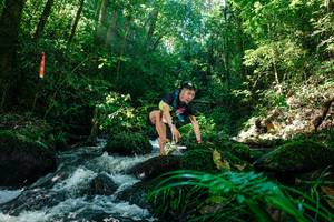 BIB: 
                            <button type="button" onclick="openModal(26694596)" class="btn btn-primary btn-sm float-right btn-popup" data-toggle="modal" data-target=".modal-high-quality">
                        <i class="fas fa-shopping-cart"></i> Add to Cart
                    </button>
                                            <button type="button" onclick="isThisMe(26694596, true)" class="btn btn-success btn-sm float-right btn-popup btn-isme hidden" data-toggle="tooltip" data-placement="bottom" title="นี่คือรูปของคุณใช่ไหม คลิกที่นี่เพื่อเอาเข้าอัลบั้ม">
                        <i class="fas fa-plus"></i> Add to album
                    </button>
                    <button type="button" onclick="isThisMe(26694596, false)" class="btn btn-warning btn-sm float-right btn-popup btn-isnotme hidden">
                        <i class="fas fa-ban"></i> Remove from album
                    </button>