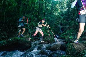 BIB: 
                            <button type="button" onclick="openModal(26779625)" class="btn btn-primary btn-sm float-right btn-popup" data-toggle="modal" data-target=".modal-high-quality">
                        <i class="fas fa-shopping-cart"></i> Add to Cart
                    </button>
                                            <button type="button" onclick="isThisMe(26779625, true)" class="btn btn-success btn-sm float-right btn-popup btn-isme hidden" data-toggle="tooltip" data-placement="bottom" title="นี่คือรูปของคุณใช่ไหม คลิกที่นี่เพื่อเอาเข้าอัลบั้ม">
                        <i class="fas fa-plus"></i> Add to album
                    </button>
                    <button type="button" onclick="isThisMe(26779625, false)" class="btn btn-warning btn-sm float-right btn-popup btn-isnotme hidden">
                        <i class="fas fa-ban"></i> Remove from album
                    </button>