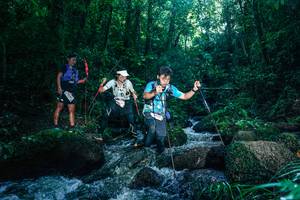 BIB: 
                            <button type="button" onclick="openModal(26779566)" class="btn btn-primary btn-sm float-right btn-popup" data-toggle="modal" data-target=".modal-high-quality">
                        <i class="fas fa-shopping-cart"></i> Add to Cart
                    </button>
                                            <button type="button" onclick="isThisMe(26779566, true)" class="btn btn-success btn-sm float-right btn-popup btn-isme hidden" data-toggle="tooltip" data-placement="bottom" title="นี่คือรูปของคุณใช่ไหม คลิกที่นี่เพื่อเอาเข้าอัลบั้ม">
                        <i class="fas fa-plus"></i> Add to album
                    </button>
                    <button type="button" onclick="isThisMe(26779566, false)" class="btn btn-warning btn-sm float-right btn-popup btn-isnotme hidden">
                        <i class="fas fa-ban"></i> Remove from album
                    </button>