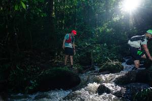 BIB: 
                            <button type="button" onclick="openModal(26776742)" class="btn btn-primary btn-sm float-right btn-popup" data-toggle="modal" data-target=".modal-high-quality">
                        <i class="fas fa-shopping-cart"></i> Add to Cart
                    </button>
                                            <button type="button" onclick="isThisMe(26776742, true)" class="btn btn-success btn-sm float-right btn-popup btn-isme hidden" data-toggle="tooltip" data-placement="bottom" title="นี่คือรูปของคุณใช่ไหม คลิกที่นี่เพื่อเอาเข้าอัลบั้ม">
                        <i class="fas fa-plus"></i> Add to album
                    </button>
                    <button type="button" onclick="isThisMe(26776742, false)" class="btn btn-warning btn-sm float-right btn-popup btn-isnotme hidden">
                        <i class="fas fa-ban"></i> Remove from album
                    </button>