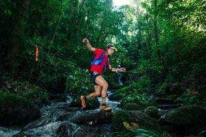 BIB: 
                            <button type="button" onclick="openModal(26774499)" class="btn btn-primary btn-sm float-right btn-popup" data-toggle="modal" data-target=".modal-high-quality">
                        <i class="fas fa-shopping-cart"></i> Add to Cart
                    </button>
                                            <button type="button" onclick="isThisMe(26774499, true)" class="btn btn-success btn-sm float-right btn-popup btn-isme hidden" data-toggle="tooltip" data-placement="bottom" title="นี่คือรูปของคุณใช่ไหม คลิกที่นี่เพื่อเอาเข้าอัลบั้ม">
                        <i class="fas fa-plus"></i> Add to album
                    </button>
                    <button type="button" onclick="isThisMe(26774499, false)" class="btn btn-warning btn-sm float-right btn-popup btn-isnotme hidden">
                        <i class="fas fa-ban"></i> Remove from album
                    </button>