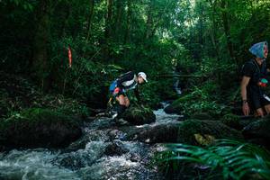 BIB: 
                            <button type="button" onclick="openModal(26773592)" class="btn btn-primary btn-sm float-right btn-popup" data-toggle="modal" data-target=".modal-high-quality">
                        <i class="fas fa-shopping-cart"></i> Add to Cart
                    </button>
                                            <button type="button" onclick="isThisMe(26773592, true)" class="btn btn-success btn-sm float-right btn-popup btn-isme hidden" data-toggle="tooltip" data-placement="bottom" title="นี่คือรูปของคุณใช่ไหม คลิกที่นี่เพื่อเอาเข้าอัลบั้ม">
                        <i class="fas fa-plus"></i> Add to album
                    </button>
                    <button type="button" onclick="isThisMe(26773592, false)" class="btn btn-warning btn-sm float-right btn-popup btn-isnotme hidden">
                        <i class="fas fa-ban"></i> Remove from album
                    </button>