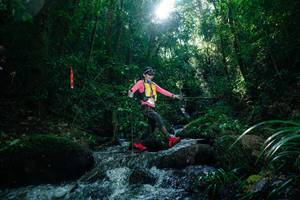 BIB: 
                            <button type="button" onclick="openModal(26775086)" class="btn btn-primary btn-sm float-right btn-popup" data-toggle="modal" data-target=".modal-high-quality">
                        <i class="fas fa-shopping-cart"></i> Add to Cart
                    </button>
                                            <button type="button" onclick="isThisMe(26775086, true)" class="btn btn-success btn-sm float-right btn-popup btn-isme hidden" data-toggle="tooltip" data-placement="bottom" title="นี่คือรูปของคุณใช่ไหม คลิกที่นี่เพื่อเอาเข้าอัลบั้ม">
                        <i class="fas fa-plus"></i> Add to album
                    </button>
                    <button type="button" onclick="isThisMe(26775086, false)" class="btn btn-warning btn-sm float-right btn-popup btn-isnotme hidden">
                        <i class="fas fa-ban"></i> Remove from album
                    </button>